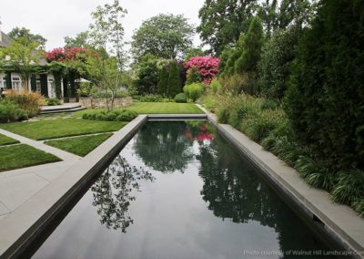Ponds and Pools Gallery Image 6