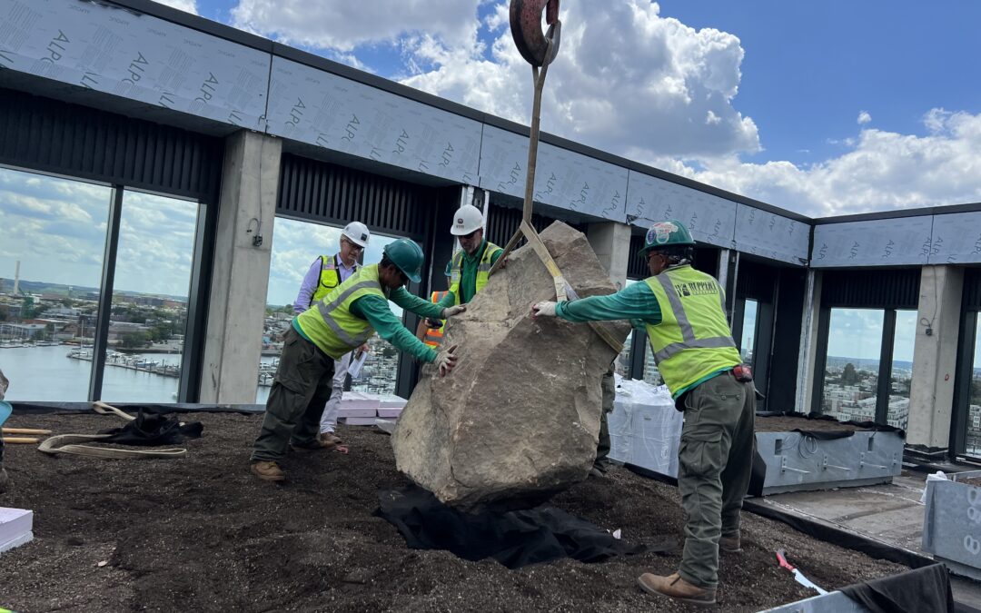 Landscape Boulders at T. Rowe Price’s New Global Headquarters in Baltimore, MD